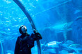 映えもスケールも桁違い!お城にしか見えない水族館【登別マリンパークニクス】