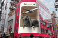カンタス航空、3D屋外広告とプレゼントキャンペーンを同時展開