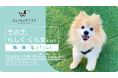 松山発!愛犬家必見の定額サービス「らしくらのサブスク」がサービス開始