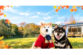 「愛犬と、秋風そよぐ伊勢でリトリート旅」和モダンなグランピング施設【ラグジュアリートレーラーズ離宮伊勢】にて