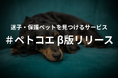 迷子・保護ペットの情報をつなぐサービス「#ペトコエ」β版提供開始
