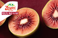 ニュージーランド産キウイのシーズン幕開け！季節限定の品種「ゼスプリ ルビーレッドキウイ」の販売開始　宝石のような赤い果肉と贅沢な甘さでデザートにもおススメ