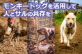 徳島・南阿波でスタートする新たなサル被害対策プロジェクト:「モンキードッグ」と最新テクノロジーで人とサルの共存を目指す