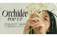 自分らしい香りと髪の質感に出会う「Maison Orchidée」初のPOP-UP STOREを大丸東京店にて期間限定開催！