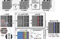 半導体製造に向けて、10nm以下の微小欠陥を高感度で検出する技術を開発