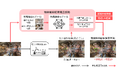 既存の物体検知AIの検知結果をAIの再学習や改修なしで高精度に補正するAI技術を開発