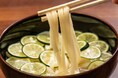 【荻窪たぬき】梅雨の季節にさっぱりと!夏を先取りできる期間限定メニュー「すだちうどん」を提供開始!