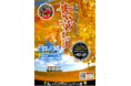 日本有数の銀杏産地 祖父江町で黄金色の秋を楽しむ「第28回そぶえイチョウ黄葉まつり」を開催！