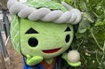 愛知県内のメロン生産量第1位の田原市で巡る、メロンづくしのスタンプラリーを実施！「メロめろスタンプラリー2026」
