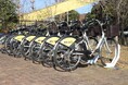 観光案内所から、やきものショッピングモールへ！ミュージアムへ！海へ！そして北部・南部エリアへ！