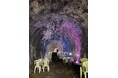 登録有形文化財のトンネルでビールを味わう夏季限定イベント　愛岐トンネル群「森のビアホール」を開催