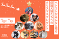 クリスマスにシェア&フォローで保護犬猫たちへ温かいごはんを届けよう!ペトコトフーズがクリスマスチャリティキャンペーンを開始