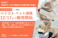 日本初!ペトコトがT&D保険グループ会社と提携し、利用するだけで保護犬・保護猫に支援できるペット保険「ペトコト ペット保険」の提供を開始。