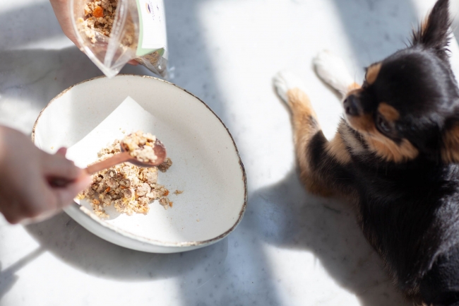 愛犬のための高級オーダーメイドフレッシュドッグフード Petokoto Foods 予約受付スタート Petokoto 旧 シロップ のプレスリリース
