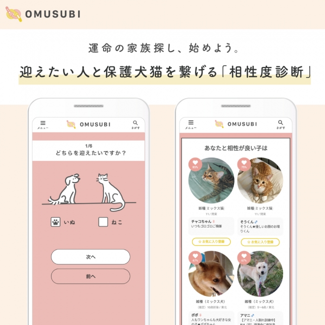 すべての保護犬猫にスポットライトを マッチングサイト Omusubi お結び が新機能 相性度診断 リリース Petokoto 旧 シロップ のプレスリリース