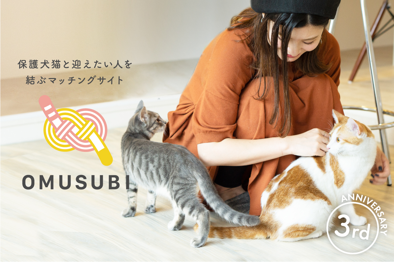 保護犬猫マッチングサイト Omusubi が3周年 審査制マッチングで日本一に Petokoto 旧 シロップ のプレスリリース