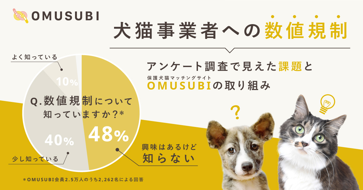 6月施行目前の数値規制 興味はあるがよく知らない 人が５割 Omusubiアンケートから見えた保護団体 飼い主の期待と懸念 Petokoto 旧 シロップ のプレスリリース