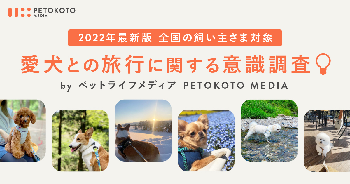 愛犬との旅行に関する意識調査 75 の飼い主がコロナ収束後の犬連れ旅行に強い意欲 22年gwもお出かけ 旅行 意識に変化 Petokoto ペトコト のプレスリリース