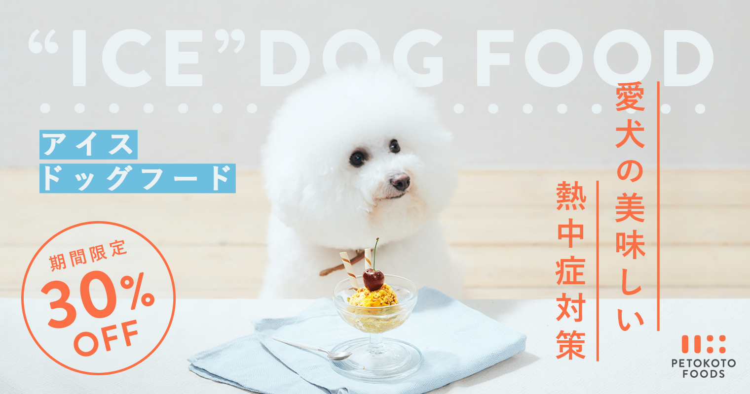 犬の熱中症対策に アイスドッグフード はいかが 水分たっぷり Petokoto Foods 初回30 Offキャンペーン開催 Petokoto ペトコト のプレスリリース