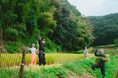 【島根県雲南市｜クラウドファンディング開始】Rice Life@雲南市〜やりたい人ができる時に参加するお米作り〜