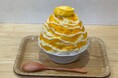 \緊急告知/行列ができる大人気店「かき氷工房 雪菓」の限定メニューが埼玉・大宮で食べられる!