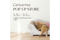 GW期間限定｜猫用爪とぎソファ「カリカリーナ」初のPOP UP STOREを東京・東麻布で開催（5/3〜5/5）