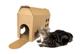【猫の「箱好き」に着目】捨てちゃう梱包箱が猫のおうちに大変身する『あそBOXオプション』、猫の爪とぎ専門店・カリカリーナに8月1日新登場