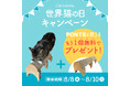 超強化段ボール製で研ぎカスが出にくい!猫も大満足の爪とぎ「PONTE」がもう1個もらえる! ~カリカリーナ 世界猫の日キャンペーン開催~