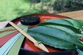 【荻窪三庭園】お客様参加型イベント「荻窪三庭園　七夕めぐり」開催