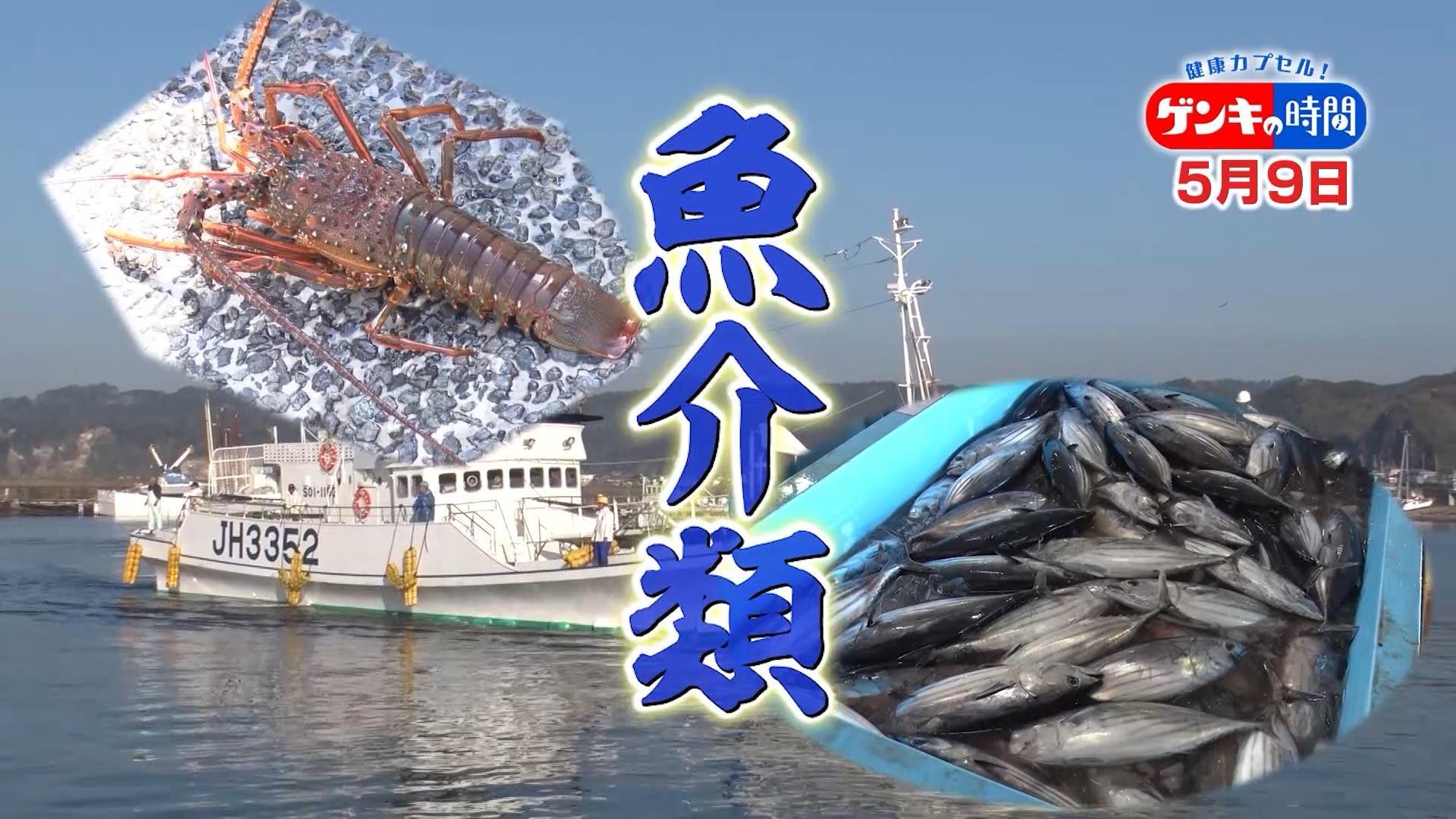日本屈指の港町で学ぶ 魚介類の健康効果と簡単で美味しい食べ方を徹底リサーチ 栄養満点魚介レシピもご紹介 健康カプセル ゲンキの 時間 株式会社cbcテレビのプレスリリース