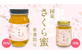 松治郎の舗、希少な季節の贈り物「蜜匠国産サクラはちみつ」と春限定「桜フェア」を2月19日より同時開催!