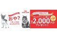ロイヤルカナン、デジタルギフト プレゼントキャンペーンを実施「うちの子ケア習慣はじめよう。」