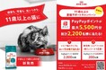 ロイヤルカナン、猫のライフステージに合わせた栄養バランスの大切さを知ってもらうためにシニア猫の栄養をケアするキャンペーン開始