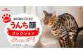 ロイヤルカナン、猫の健康に関する知識を啓発するキャンペーン「集まれ“うんち顔”コレクション」を実施