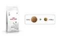 ロイヤルカナン「犬用 腎臓サポート+低分子プロテイン 小粒」を新発売