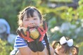 オーガニック給食の普及に向けた初の公募助成第1回(2025年度) 助成先7企画を決定!