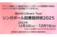 【今年の冬はシンガポールへ!!】シンガポールの図書館を12月3日~7日の5日間で巡る研修を企画