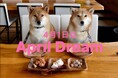 愛犬と泊まれる温泉旅館【山口県下関市】川棚グランドホテルお多福【愛犬と心を通わせ、より深く結ばれる特別な時間をお届したい】