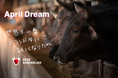 世界で一番ブランド牛に詳しくなりたい! #AprilDream
