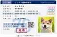 ソニー損保とアニコム損保が共同でペット保険の販売を開始