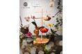 【HIKARU ORCHIDS Cafe × Gallery SIGMA. コラボ 】2024年クリスマスを彩り、2025年に幸せが舞い込んでくる胡蝶蘭アフタヌーンティーセットが登場!
