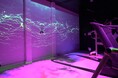 完全無人トレーラーハウス型の24時間女性専用フィットネスジムが登場!