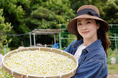 【夏至限定】福岡産・無農薬ハーブ100%使用「清巡 - Seijun -」本日より予約受付スタート!爽やかな初夏ブレンドが登場
