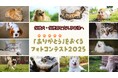 保護犬・保護猫を支える人へ「ありがとう」を贈るフォトコンテスト2025　作品募集開始！