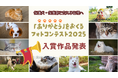 応募73頭、総投票2,794件の反響！保護犬・保護猫を支える人へ「ありがとう」を贈るフォトコンテスト2025 結果発表