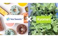 【日英共同研究】プラントベーススイーツの「Vee Sweets」、英国バイオスタートアップ「Kyomei」と共同研究に向けた基本合意を締結