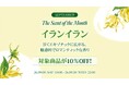 韓国発パーソナルケアブランド「KUNDAL（クンダル）」、「The Scent of the Month」9月の香りは“イランイラン”公式サイト限定10％OFFキャンペーンを開催