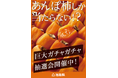 あんぽ柿しか当たらない!?　あんぽ柿巨大ガチャガチャ抽選会!!　「伊達のあんぽ柿の日」に合わせて”道の駅ふくしま”で開催！