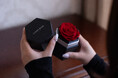 話題沸騰。“感情を贈る”1輪のバラ「Rose you」——LUNAR ROSEからの新提案。