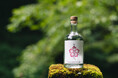 ”日本独自の自然の香りを追求”した「naturadistill固有種蒸溜酒」が待望のレギュラー品として2025年3月12日(水)より発売!
